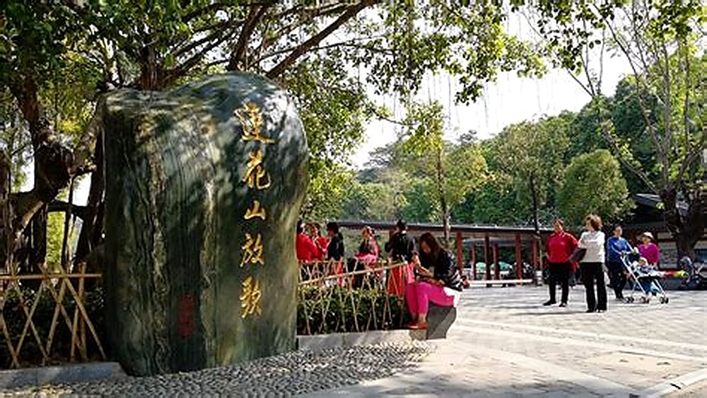 Shenzhen Development Route 1 | Luohu to Shekou - 1