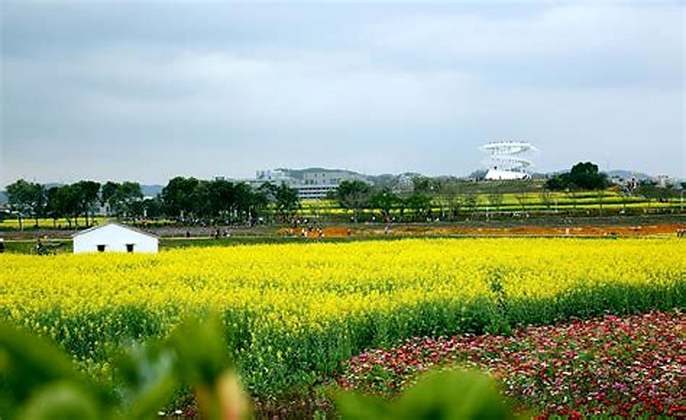 Shenzhen Development Route 2 | Guangming Science City - 6