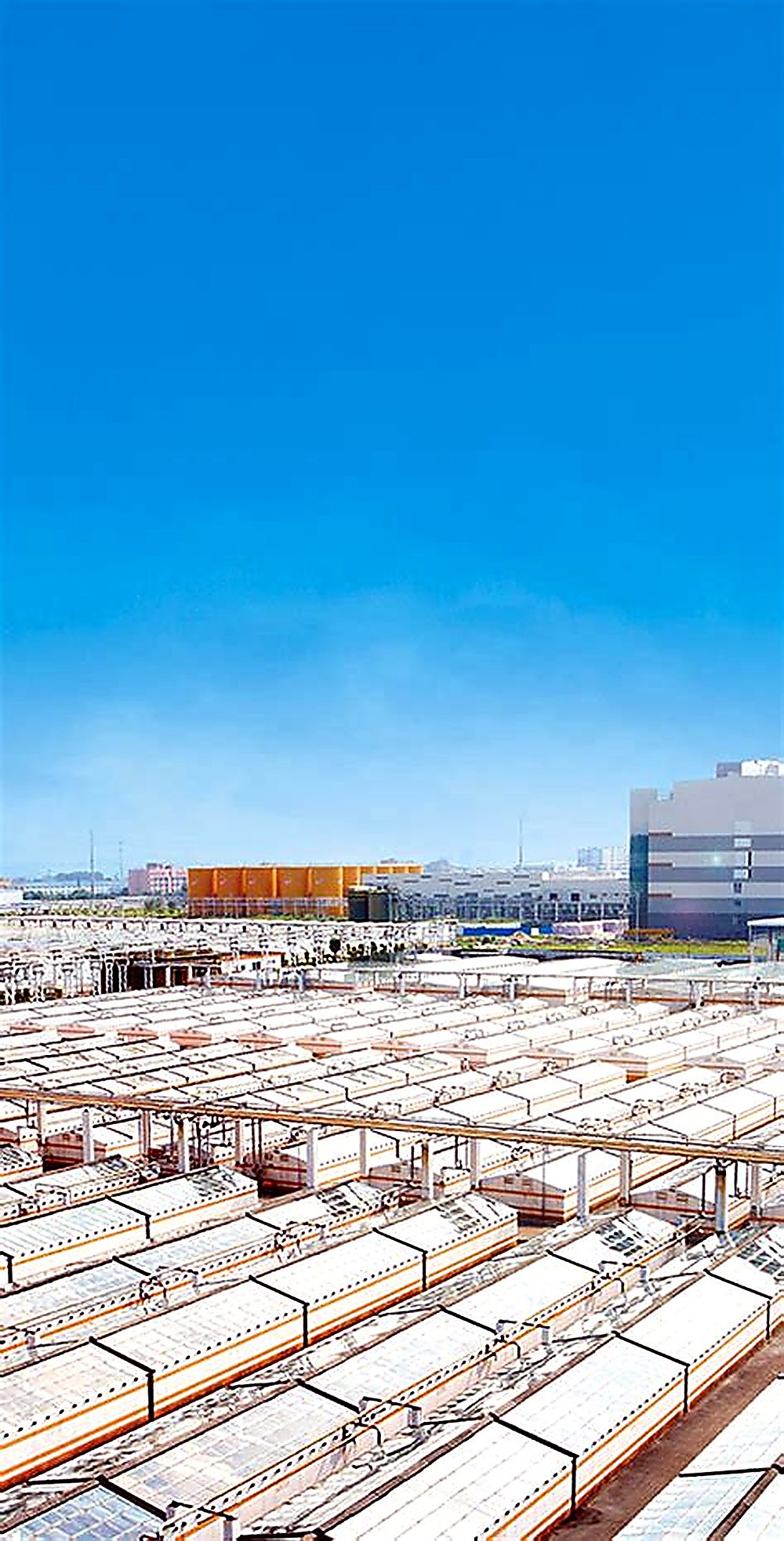 Greater Bay Area Select 02 | A Taste of Foshan's Industrial Strength - 2